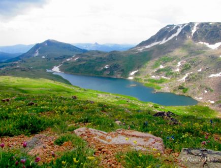 Courage Begets Courage - Beartooth Pass