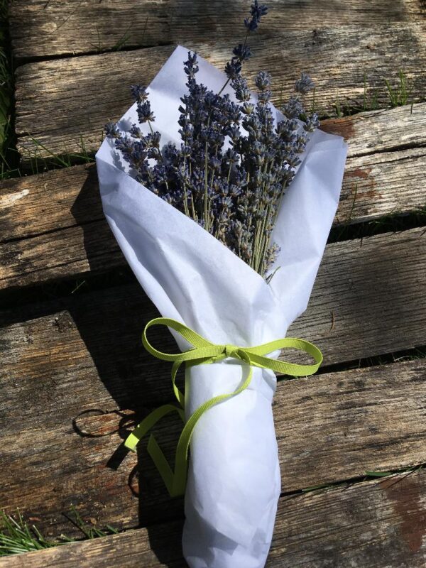 Fragrant Dried Lavender Bouquet