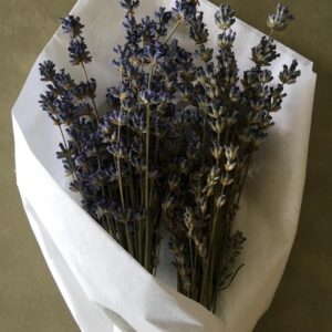Fragrant Dried Lavender