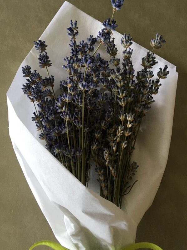 Fragrant Dried Lavender